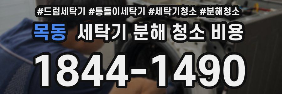 목동 세탁기 분해 청소 비용