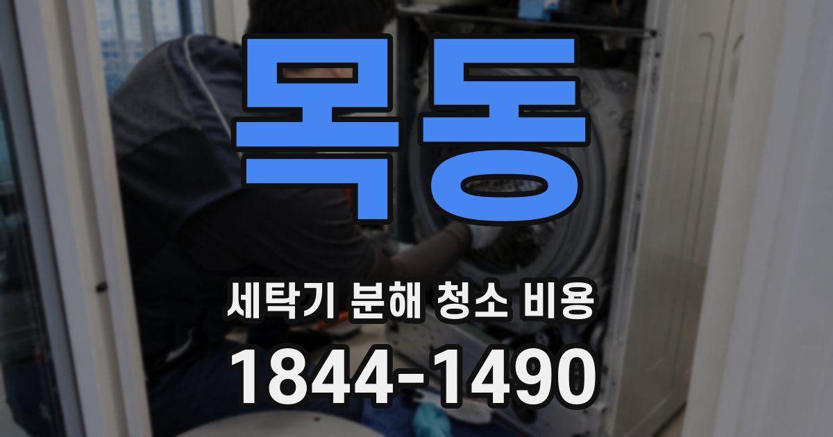 목동 세탁기 분해 청소 비용