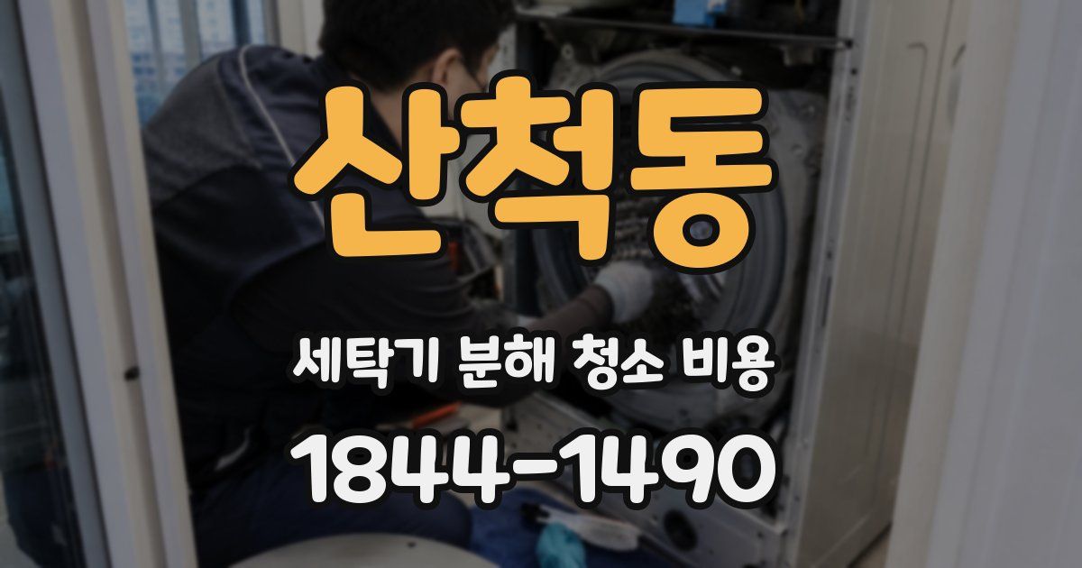 산척동 세탁기 분해 청소 비용