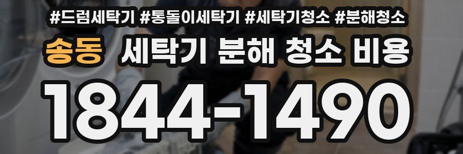 송동 세탁기 분해 청소 비용