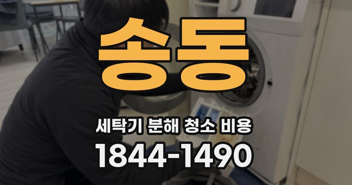 송동 세탁기 분해 청소 비용