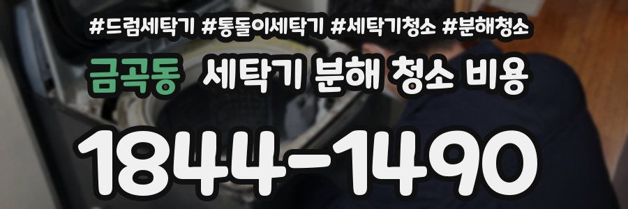 금곡동 세탁기 분해 청소 비용