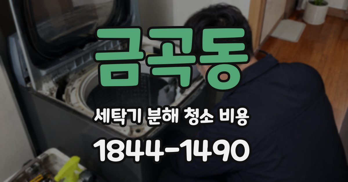 금곡동 세탁기 분해 청소 비용
