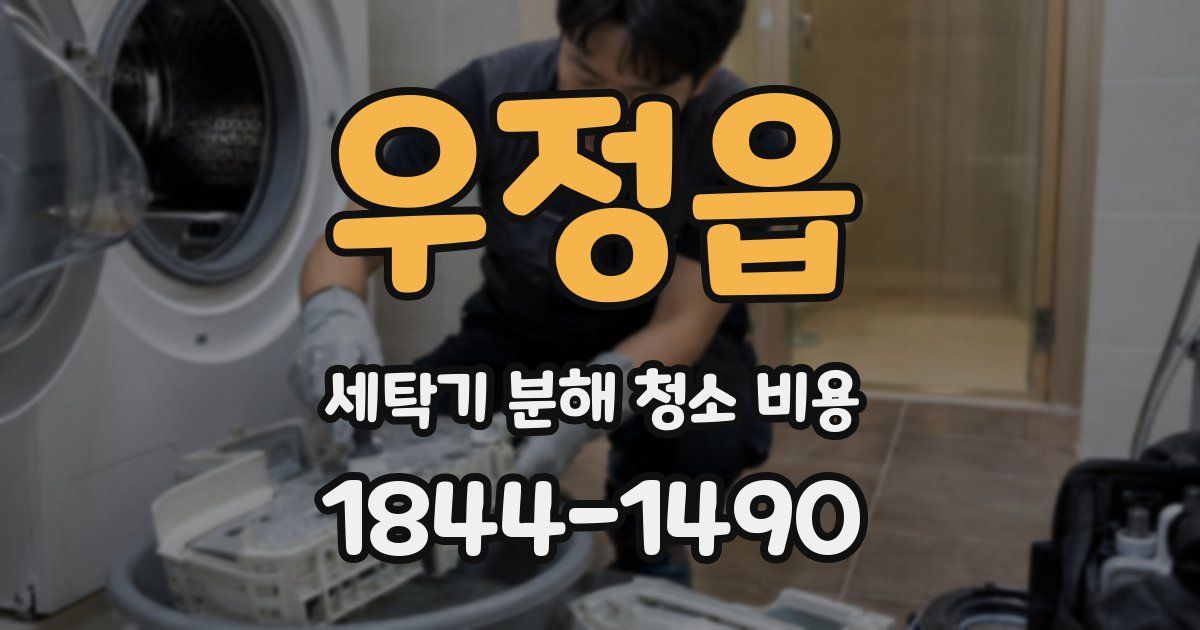 우정읍 세탁기 분해 청소 비용