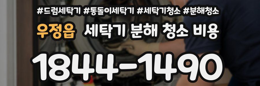 우정읍 세탁기 분해 청소 비용