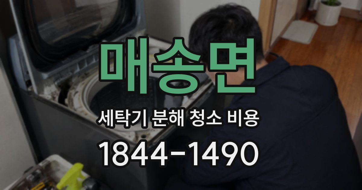 매송면 세탁기 분해 청소 비용