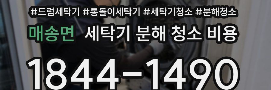 매송면 세탁기 분해 청소 비용