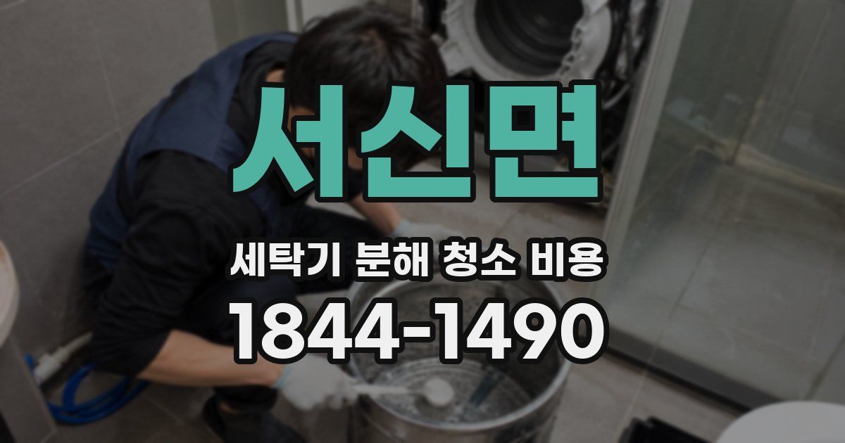 서신면 세탁기 분해 청소 비용