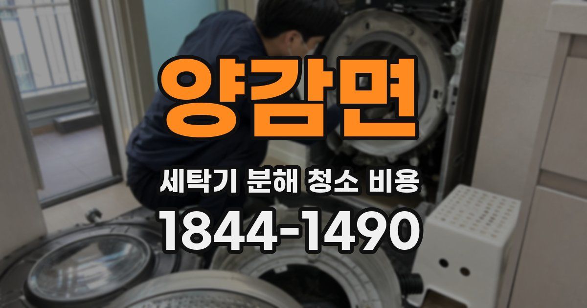 양감면 세탁기 분해 청소 비용