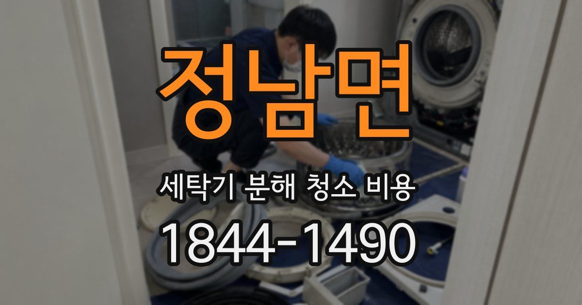 정남면 세탁기 분해 청소 비용
