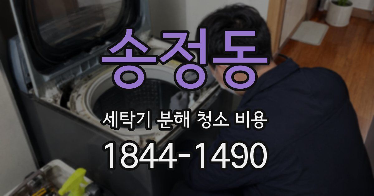 송정동 세탁기 분해 청소 비용