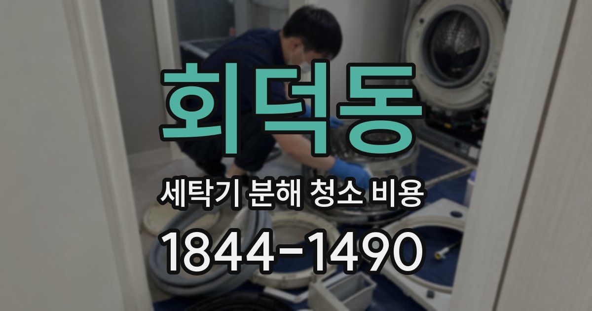 회덕동 세탁기 분해 청소 비용