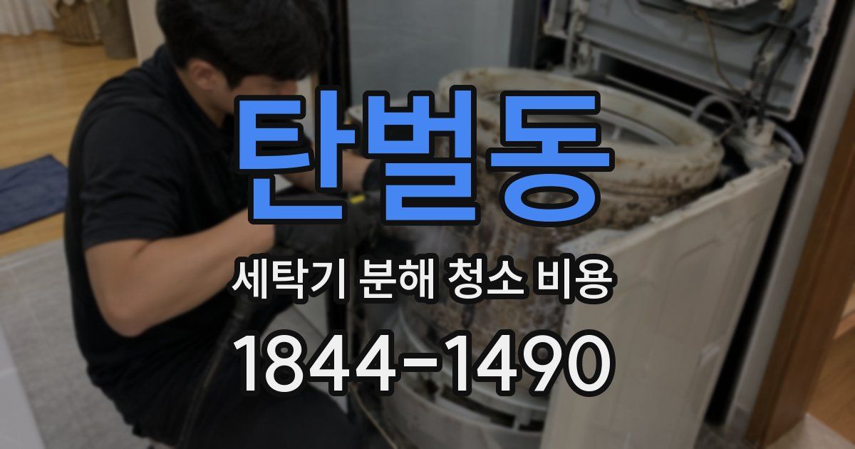 탄벌동 세탁기 분해 청소 비용