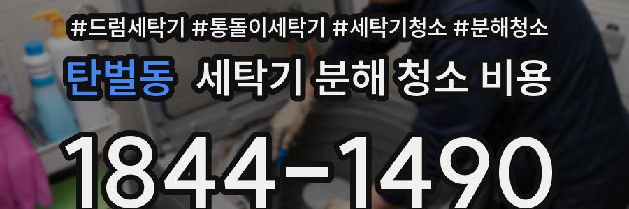 탄벌동 세탁기 분해 청소 비용