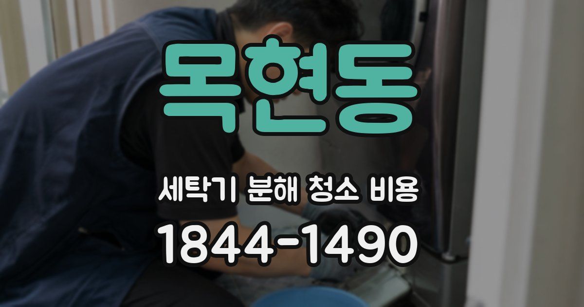 목현동 세탁기 분해 청소 비용