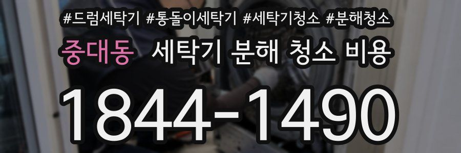 중대동 세탁기 분해 청소 비용