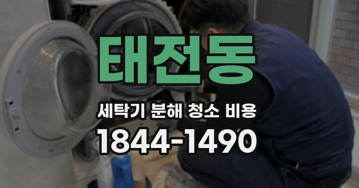 태전동 세탁기 분해 청소 비용