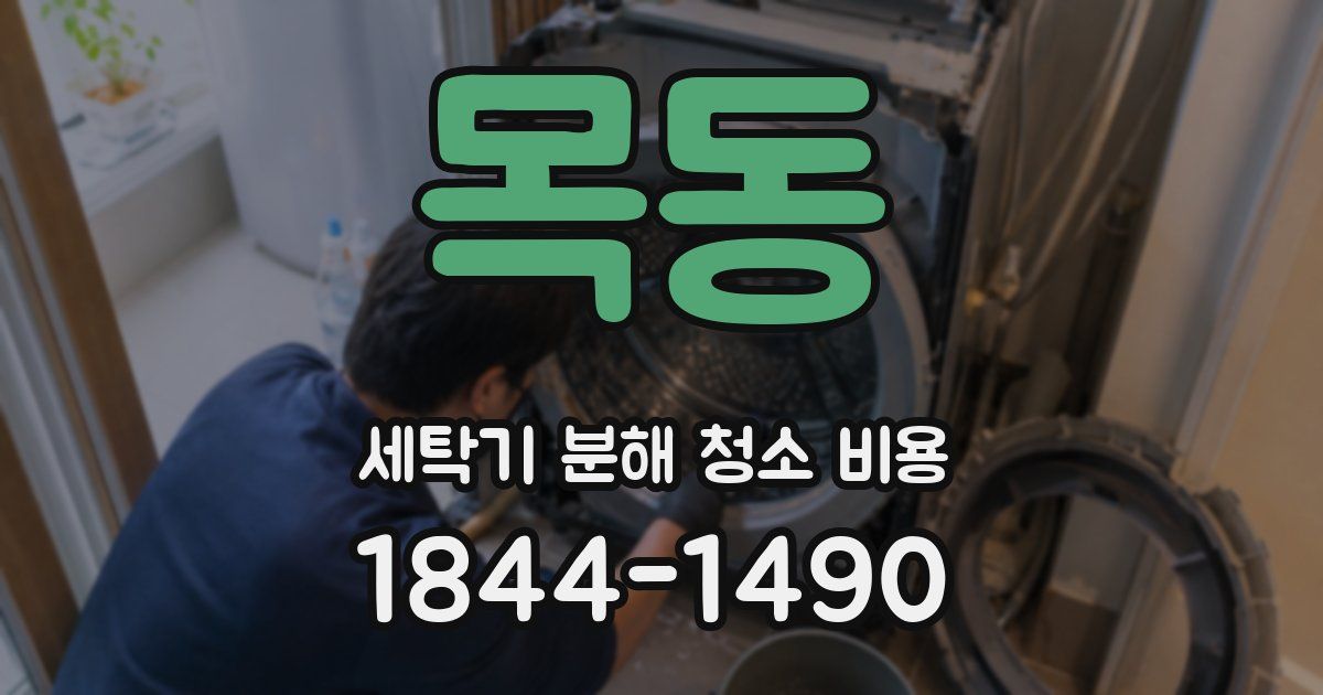 목동 세탁기 분해 청소 비용