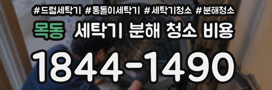 목동 세탁기 분해 청소 비용