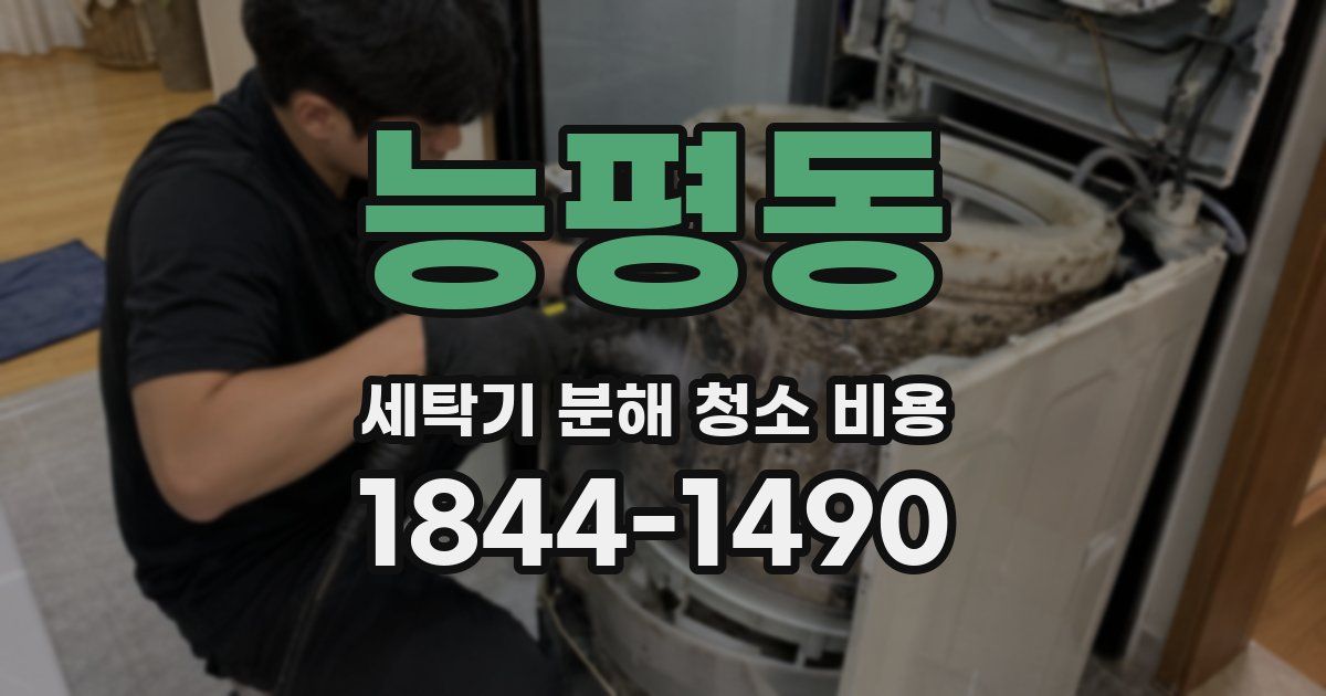 능평동 세탁기 분해 청소 비용