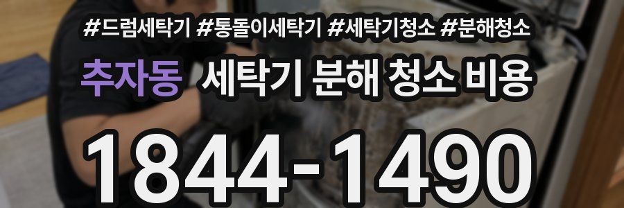 추자동 세탁기 분해 청소 비용