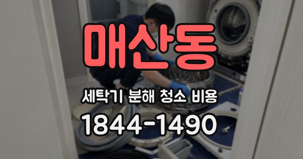 매산동 세탁기 분해 청소 비용