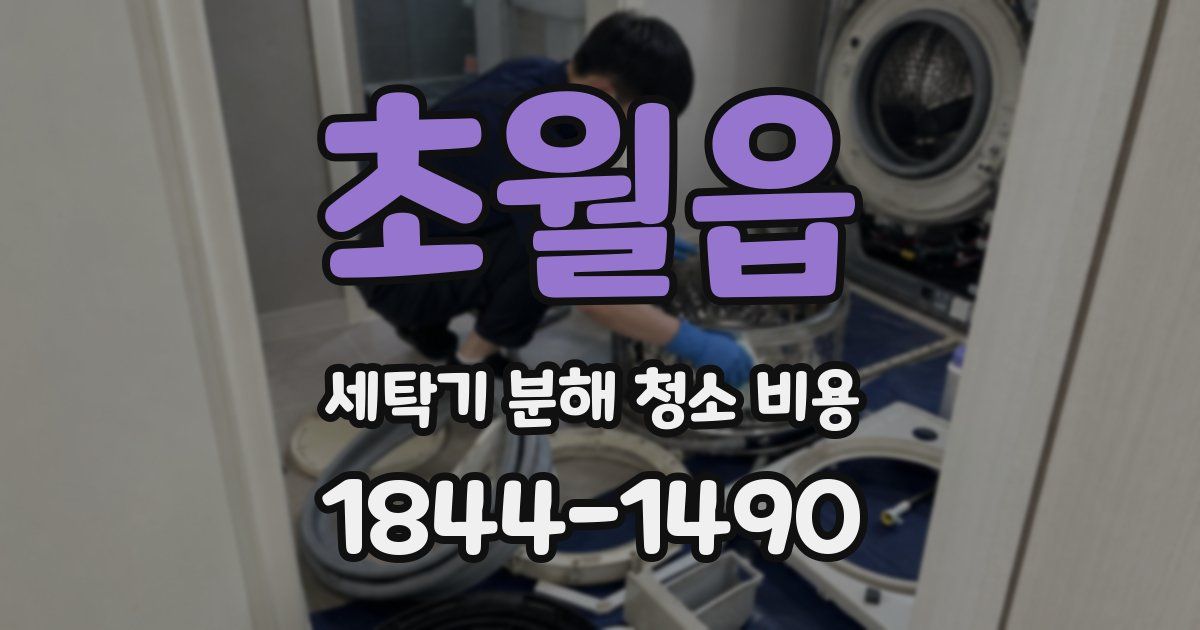 초월읍 세탁기 분해 청소 비용