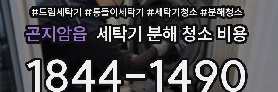 곤지암읍 세탁기 분해 청소 비용