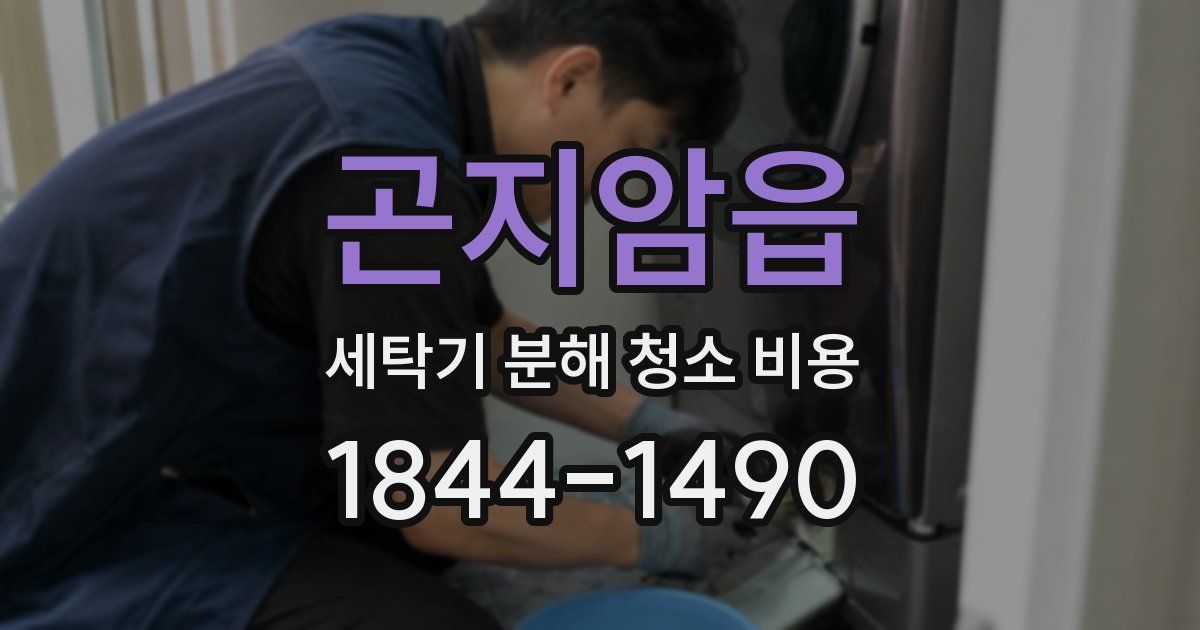 곤지암읍 세탁기 분해 청소 비용
