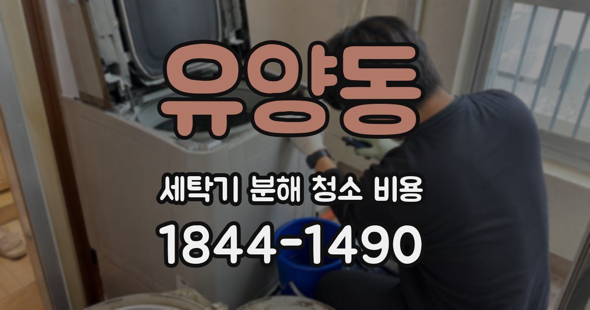 유양동 세탁기 분해 청소 비용