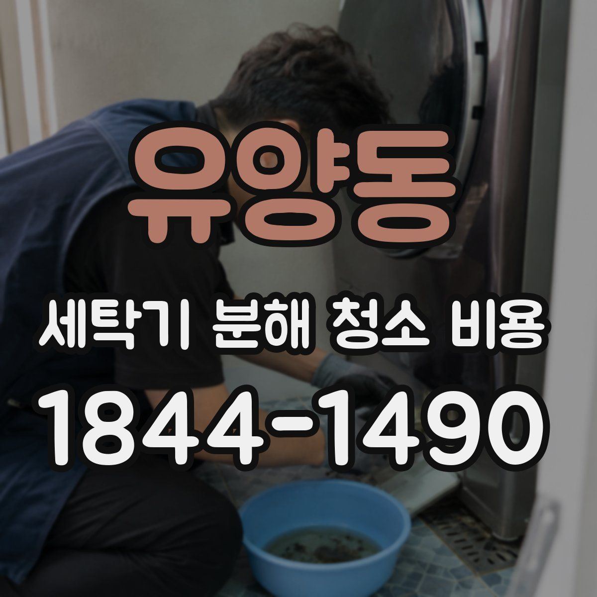 유양동 세탁기 분해 청소 비용