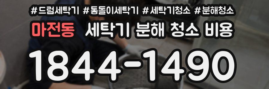 마전동 세탁기 분해 청소 비용