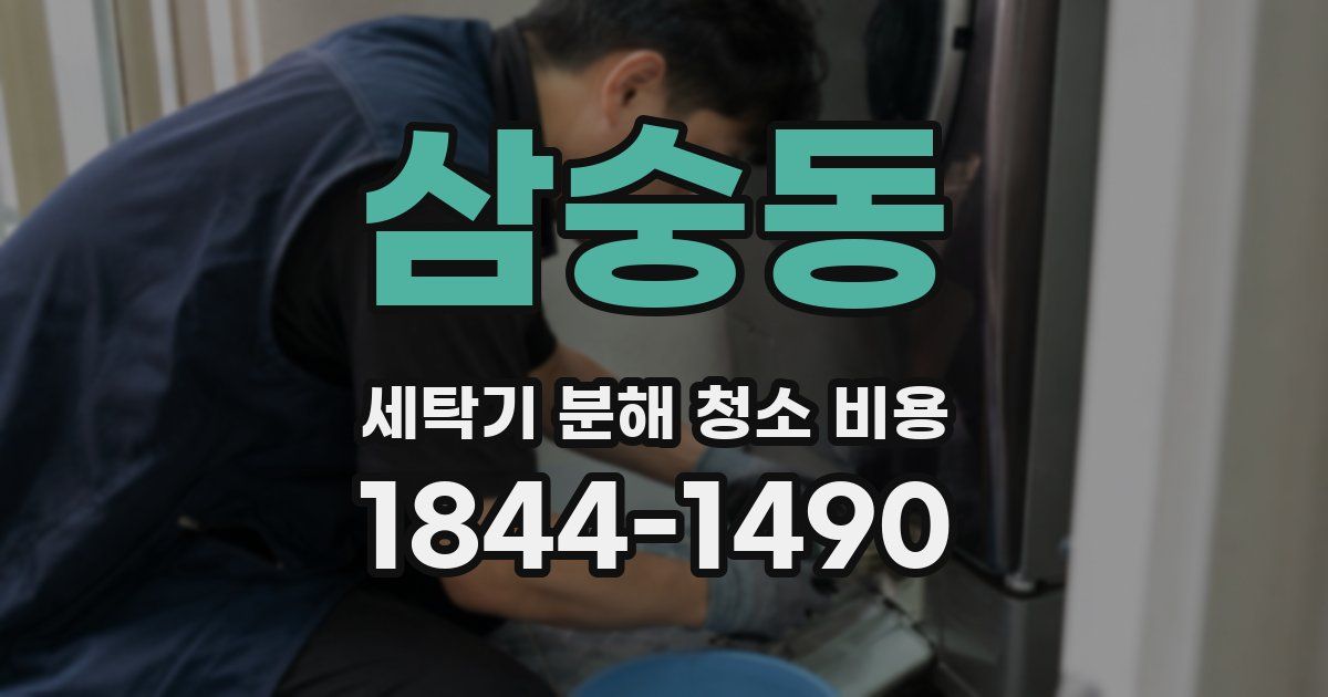 삼숭동 세탁기 분해 청소 비용