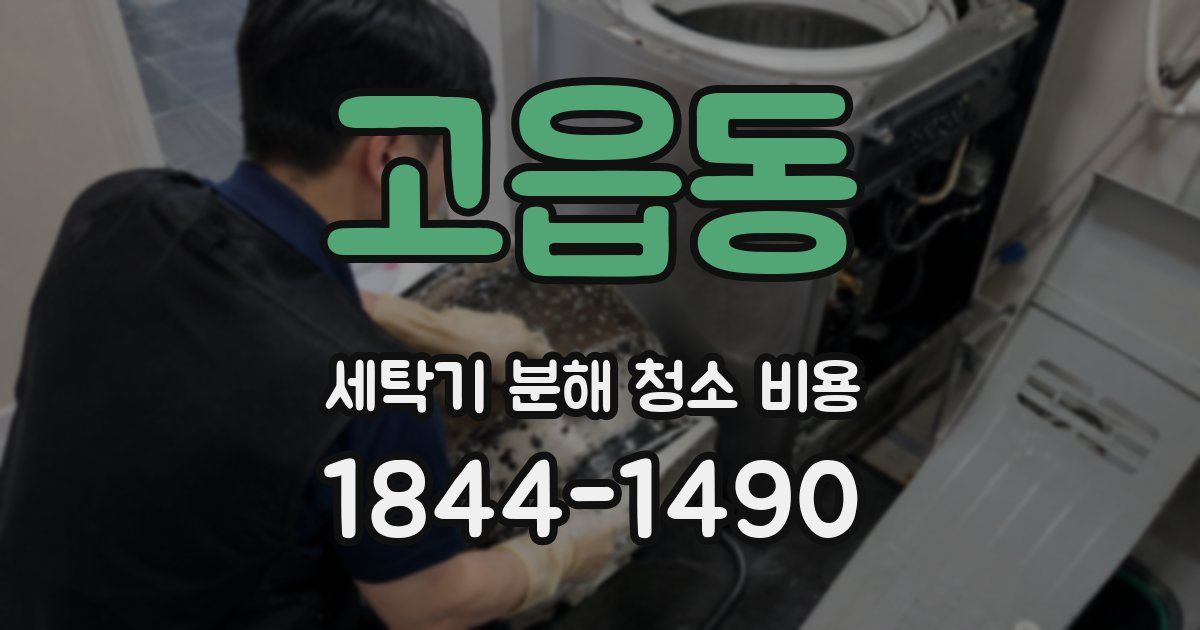 고읍동 세탁기 분해 청소 비용