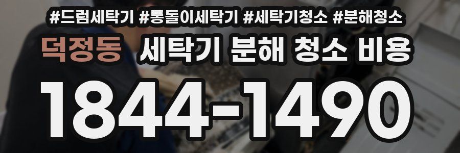 덕정동 세탁기 분해 청소 비용