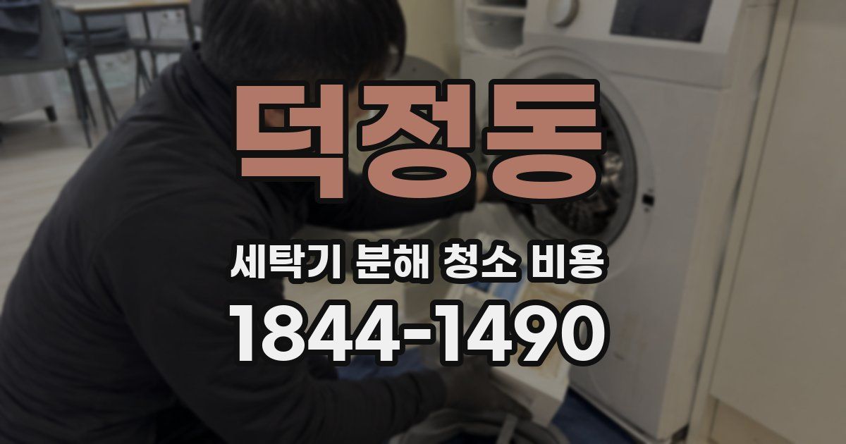 덕정동 세탁기 분해 청소 비용