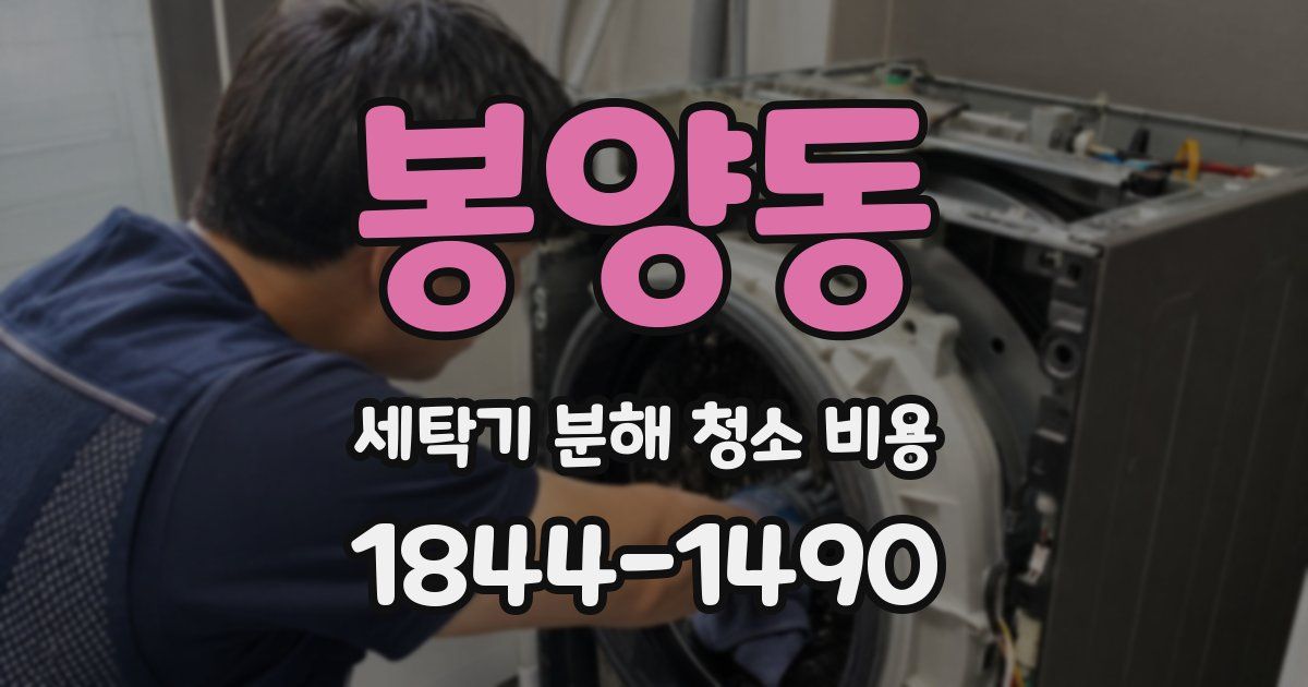 봉양동 세탁기 분해 청소 비용