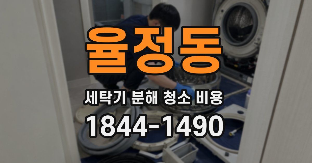 율정동 세탁기 분해 청소 비용