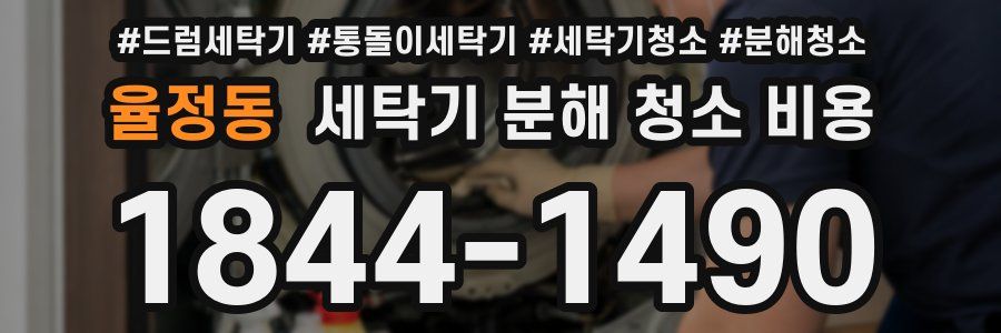 율정동 세탁기 분해 청소 비용