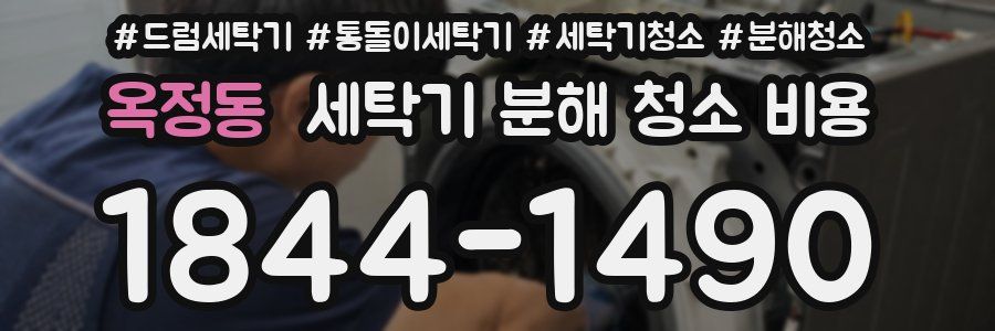 옥정동 세탁기 분해 청소 비용