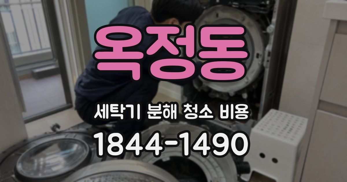 옥정동 세탁기 분해 청소 비용