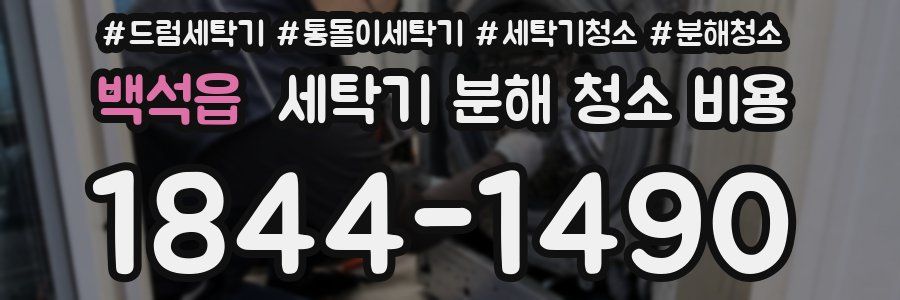 백석읍 세탁기 분해 청소 비용