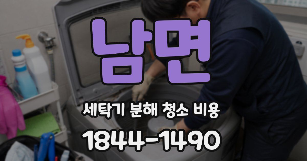 남면 세탁기 분해 청소 비용