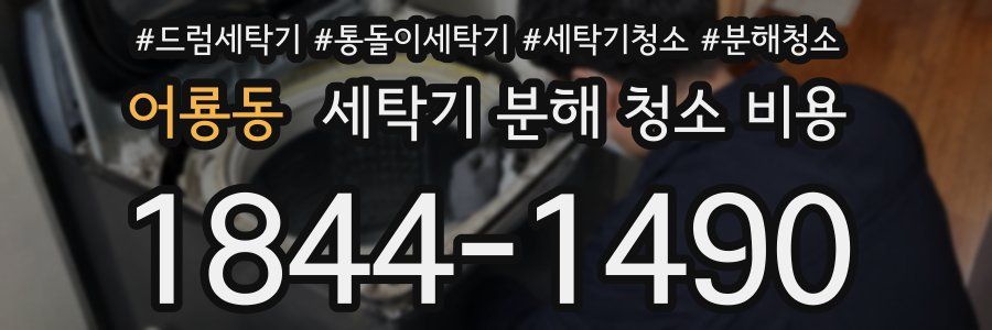 어룡동 세탁기 분해 청소 비용