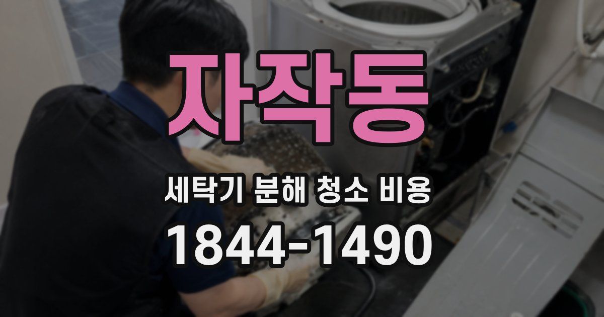 자작동 세탁기 분해 청소 비용