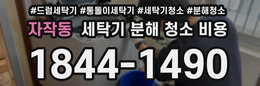 자작동 세탁기 분해 청소 비용