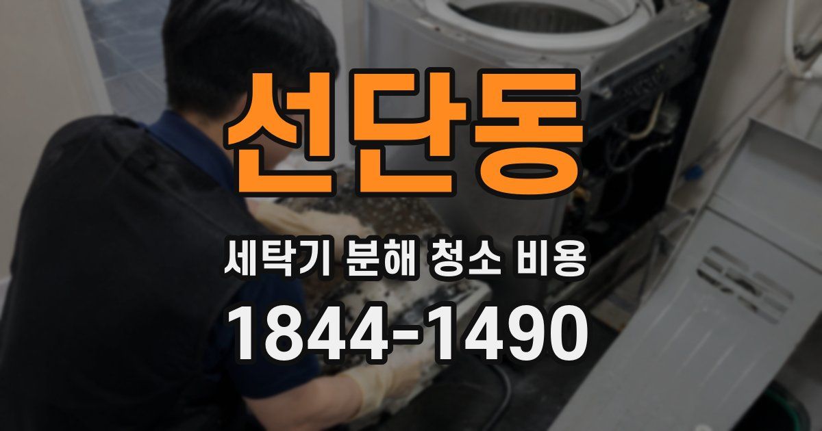 선단동 세탁기 분해 청소 비용