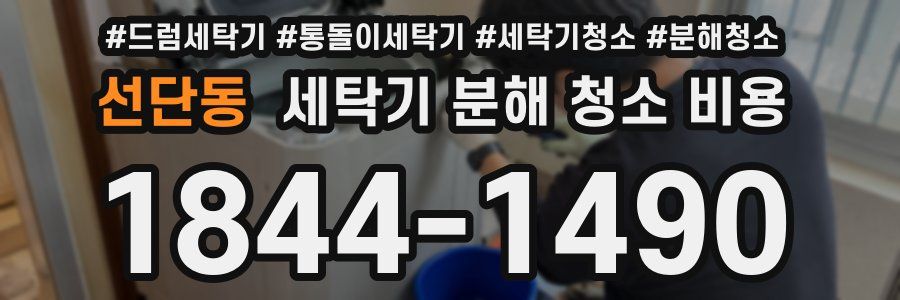 선단동 세탁기 분해 청소 비용
