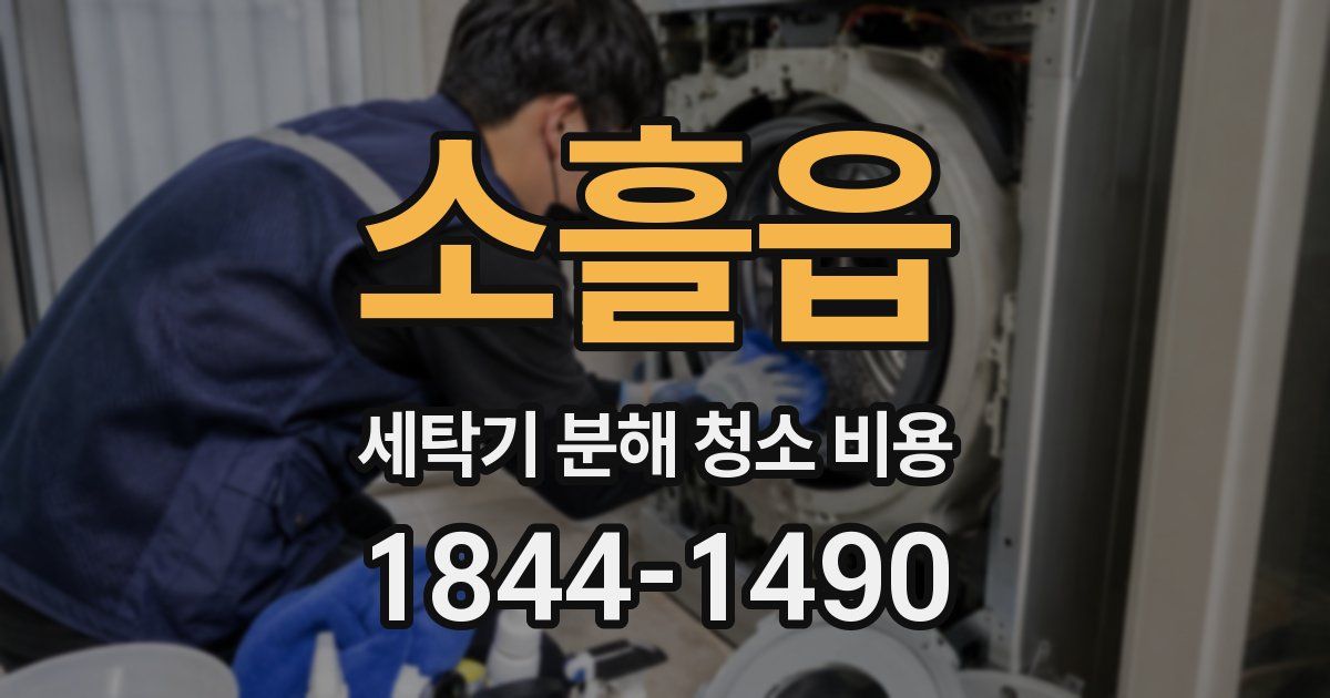 소흘읍 세탁기 분해 청소 비용