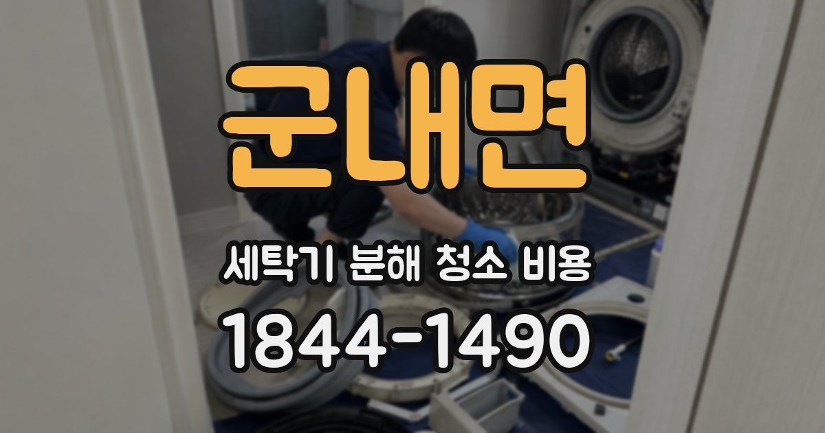 군내면 세탁기 분해 청소 비용